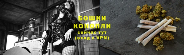соль ск Верхний Тагил