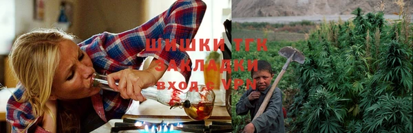прущие грибы Вяземский