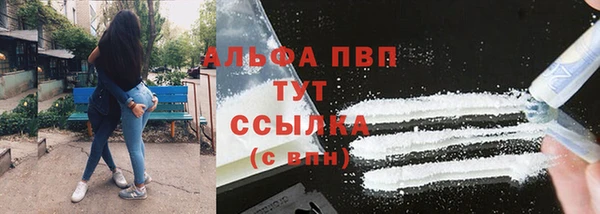 прущие грибы Вяземский