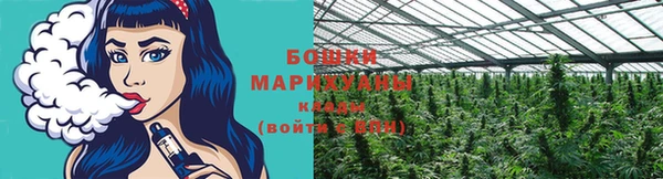 прущая мука Верея