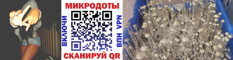 Псилоцибиновые грибы мухоморы  Инсар 